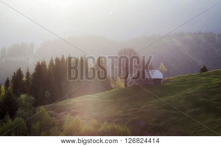 Sunrise spring landscape in the carpathian mountains