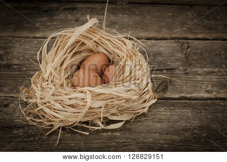 Brown chicken eggs lie in the straw top view