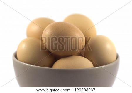 eggs in a cup and isolated white background