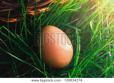 Basket of easter eggs on Fresh Green Grass