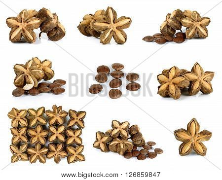Sacha Inchi Peanut Seed On White Background