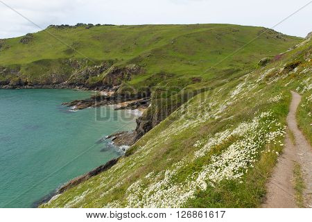 Starehole bay Salcombe Devon UK a short coast walk from this coastal town