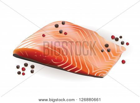 Vector Realistic Fresh Raw Salmon Slice Fillet with Red and Black pepper.Isolated on White Background illustration