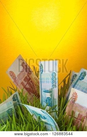 Investment growth: russian ruble bills in green grass. Appreciation of ruble. Financial concept.