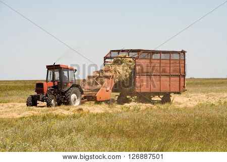 Hay with the help of special equipment in the summer sunny day