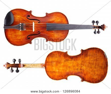 Top And Bottom View Of A Violin
