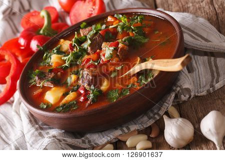 Traditional Hungarian Goulash Soup Bogracs Close-up In A Bowl. Horizontal