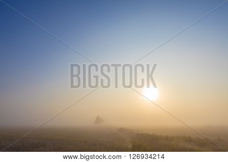 Misty dawn early morning nature grassland landscape view in russian countryside with sun. Mysterious Volga river rural road in fog with vivid colors.