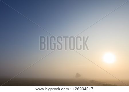Misty dawn early morning nature grassland landscape view in russian countryside with sun. Mysterious Volga river rural road in fog with vivid colors.