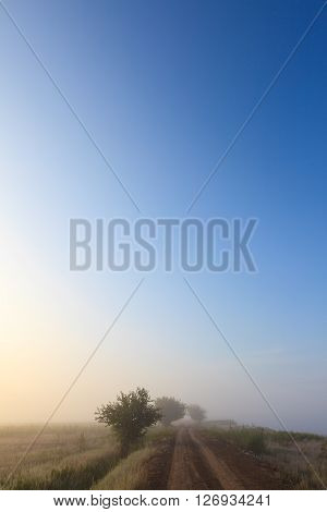 Misty dawn early morning nature grassland landscape view in russian countryside. Mysterious Volga river rural road in fog with vivid colors.