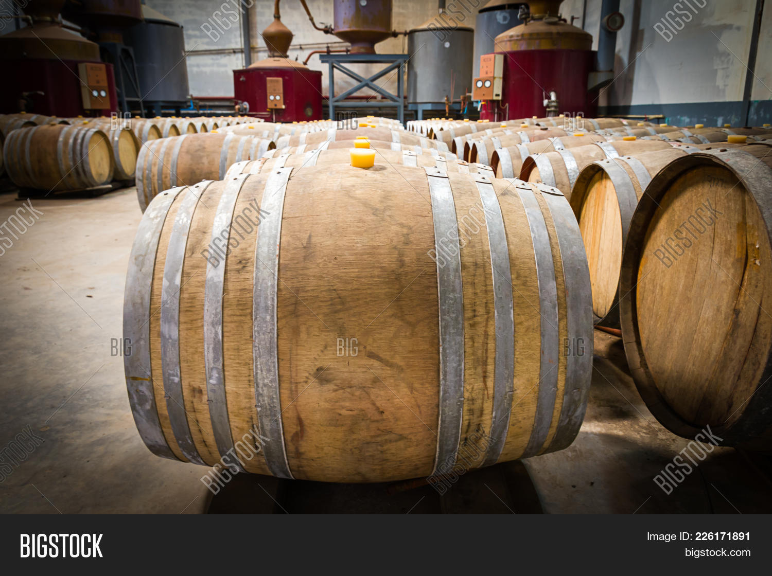 Wine Barrels Cellar Image & Photo (Free Trial) Bigstock