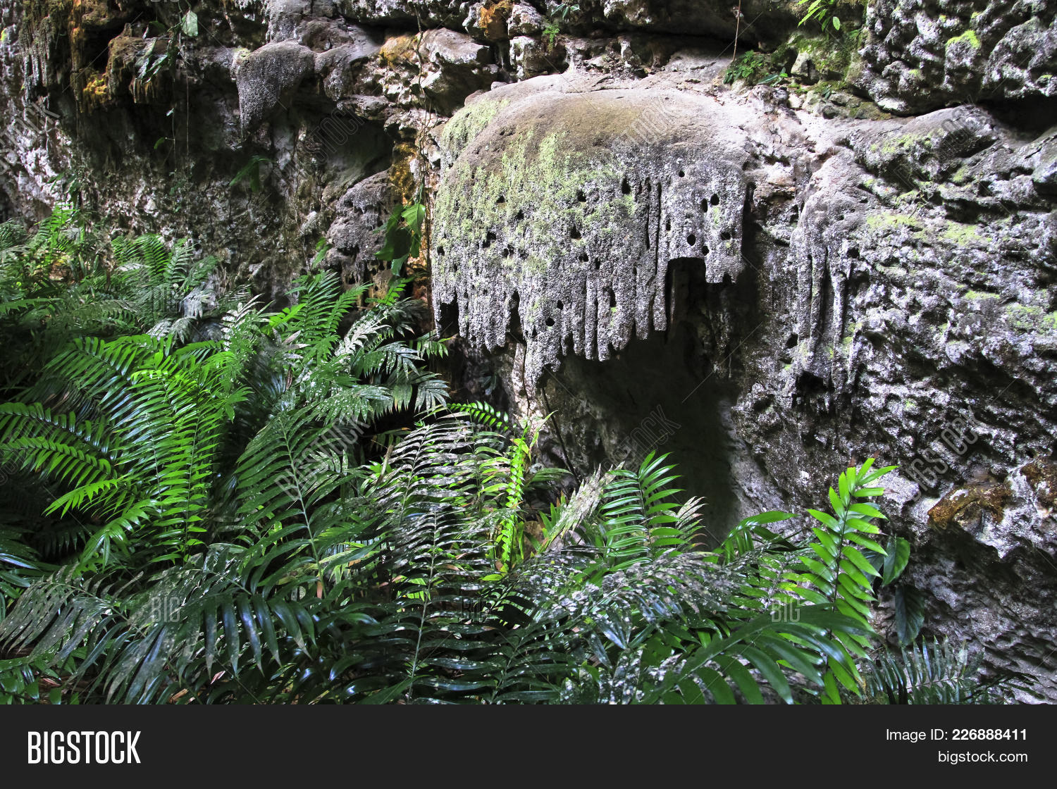 Forest Rock Formations