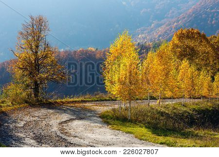 Dirty Secondary Road To Mountain Pass In Autumn Carpathians And Multicolored Yellow-orange-red-brown