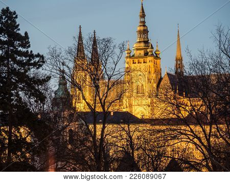 Night View Of St. Vitus Cathedral, Prague, Czech Republic