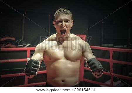 Angry And Aggressive Fighter Shows His Superiority In The Boxing Ring. Indisputable Champion Concept