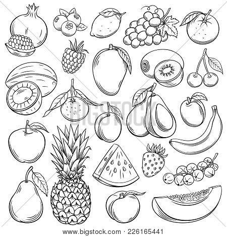 Vector Sketch Fruits And Berries Icons Set. Decorative Retro Style Collection Hand Drawn Farm Produc