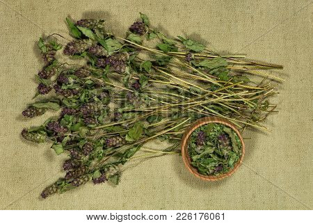 Prunella Vulgaris. Dry Herbs For Use In Alternative Medicine, Phytotherapy, Spa, Herbal Cosmetics. P