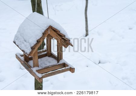 Feeder For Birds In The Winter Forest.