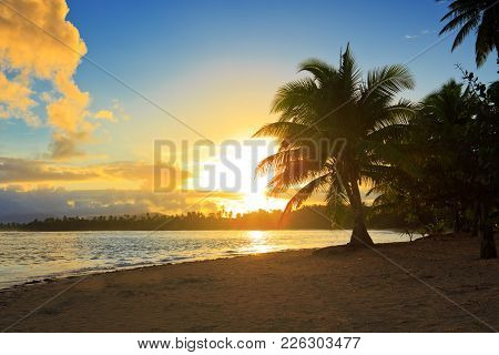 Tropical Beach Background At Sunrise With Coconut Palm Trees .colorful Surise On Tropical Beach.