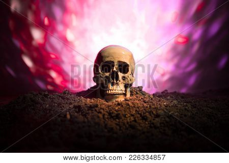 Frontview Of Human Skull Open Mouth On Dark Toned Foggy Background. Horror Concept.