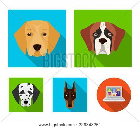 Muzzle Of Different Breeds Of Dogs.dog Of The Breed St. Bernard, Golden Retriever, Doberman, Dalmati