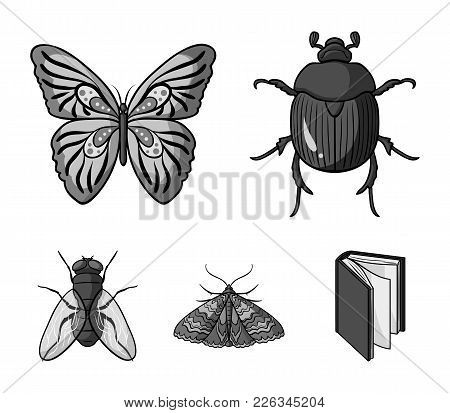 Wrecker, Parasite, Nature, Butterfly .insects Set Collection Icons In Monochrome Style Vector Symbol