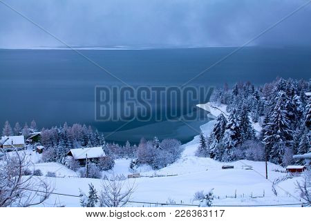 Frozen lake and pine trees in snow at Colibita. Romania early morning winter secen.