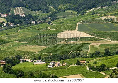 Paesaggio In The Oltrepo Pavese (Italia)