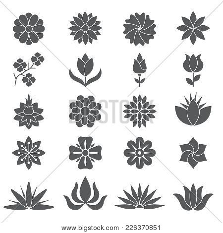 Stylized Plants And Flowers For Different Design Projects. Monochrome Plant And Flower Blossom, Sket