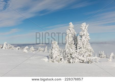 Beautiful Winter Landscape Krkonos On A Sunny Day. Winter Ridges Of The Krkonose Mountains. Trees Co