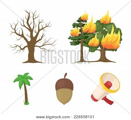 Burning Tree, Palm, Acorn, Dry Tree.forest Set Collection Icons In Cartoon Style Vector Symbol Stock