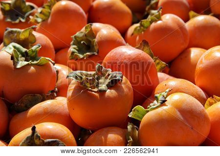 Harvest Ripe Persimmon Lies In The Container