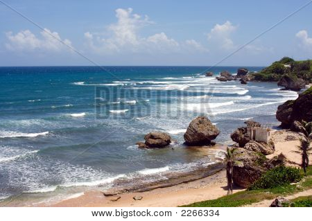 Eastcoast Barbados