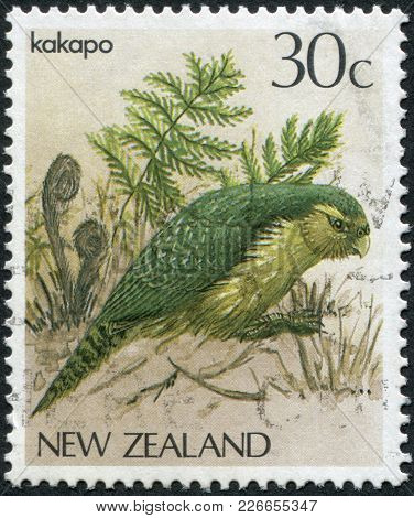 New Zealand - Circa 1986: A Stamp Printed In New Zealand, Shows A Bird Kakapo (strigops Habroptilus)