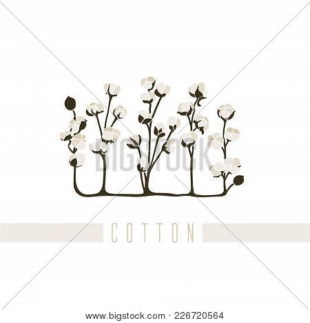 Vector Illustration Of A Series Of Pictures With Different Flowers. The Cotton Is Depicted In A Flat