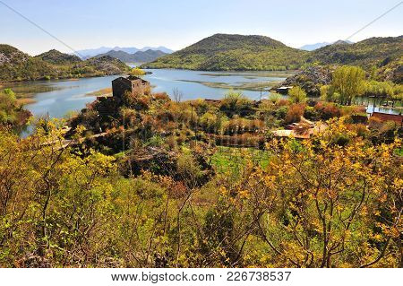 Natural Park On Skadar Lake In Montenegro