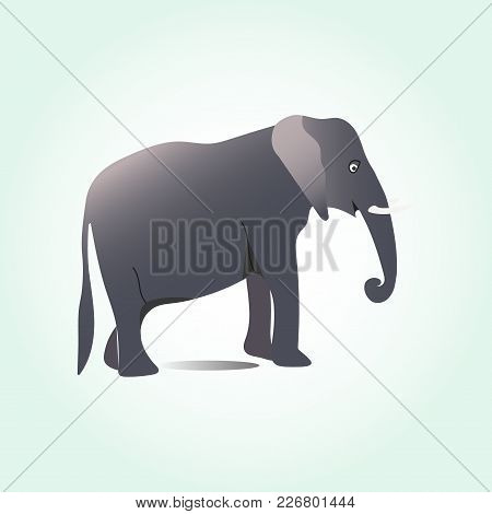 Elephant Large Cartoon Mammal Isolated On White. African Bush Or Forest Elephant And Asian Elephant.