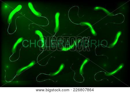 Vector Illustration Of A Cholera Vibrion. Bacteria