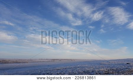 Amazing Deep Blue Sky With Cirrus Feather-shaped Clouds Over Dry Grassland - Nature Background. Cirr