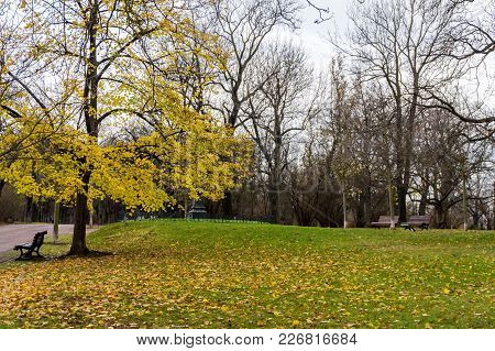 Autumn In Prague, Beautiful Letna Park, Letenske Sady, In Praha, Popular Tourist Destination, Czech 