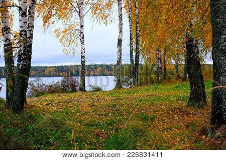Beautiful Views Of Autumn Landscape. In The Distance You Can See The Surface Of The River, Surrounde
