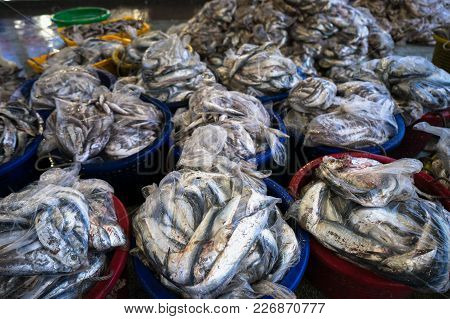 Fishes In Tac Cau Fishing Port, Me Kong Delta Province Of Kien Giang, South Of Vietnam