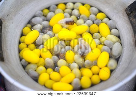 Beautiful Yellow Color Boiling Cocoon Silkworm In A Pot.