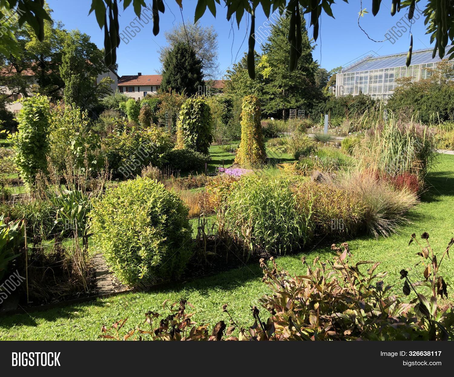 Botanical Garden St Image Photo Free Trial Bigstock