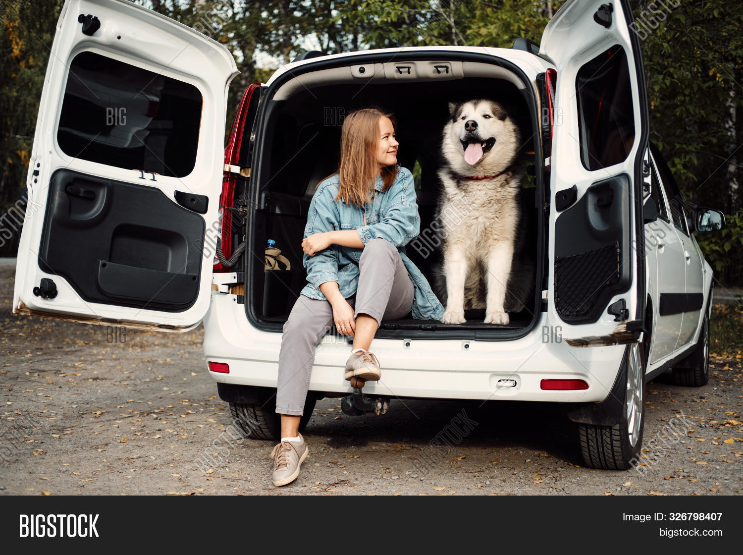 How Do You Transport A Dog In A Car