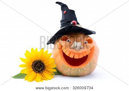 Pumpkin For Halloween Isolated On White Background. Jack Lantern Head Carved From Pumpkin For Hallow