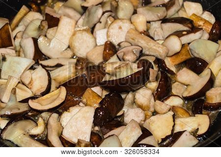 Roasted Tenderloin Cut With Fresh Mushrooms Of The Forest