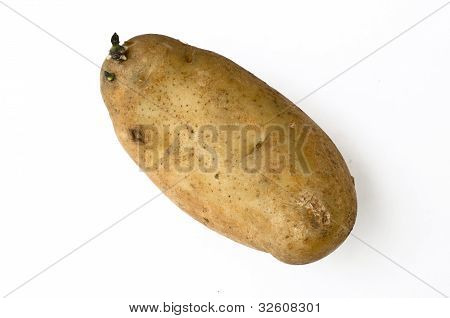 Brambory