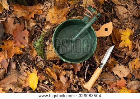 Kitchen Appliances And Knife. Autumn Mood. Autumn Picnic.