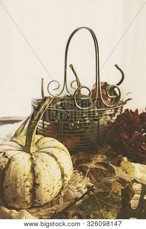 An Autumn Still Life With A Metal Basket Filled With Gourds And Pumpkins, Fall Foiliage, Red Flowers